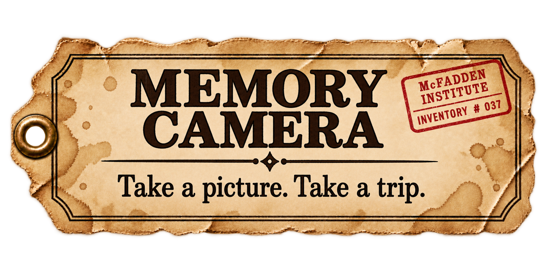 Memory Camera description